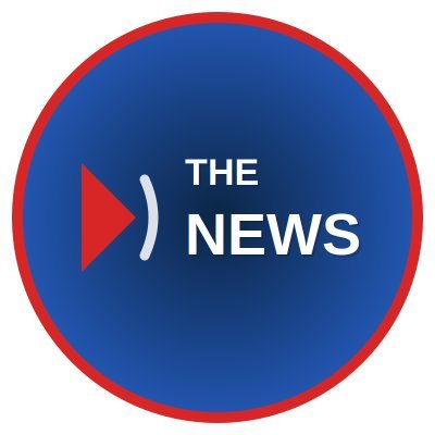 thenews_fr's profile picture