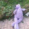 Profilbild von h@mza