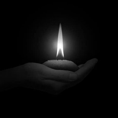 KelvinTran0212's profile picture