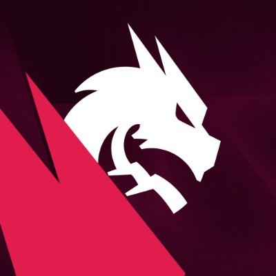 TSpirit_Dota2's profile picture