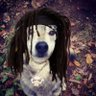 Totally Not Rux's profile picture