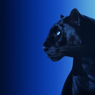 JUST9talk's profile picture