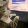 Profilbild von Ming Lin