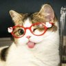 🐱 นอตอ 🐱's profile picture