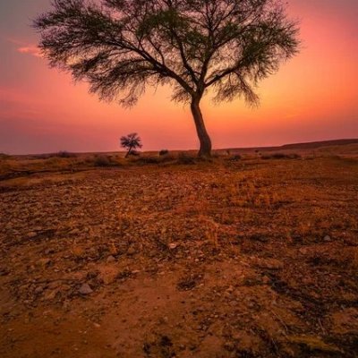 ERTM668's profile picture