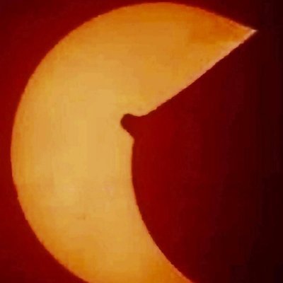 PDohen's profile picture