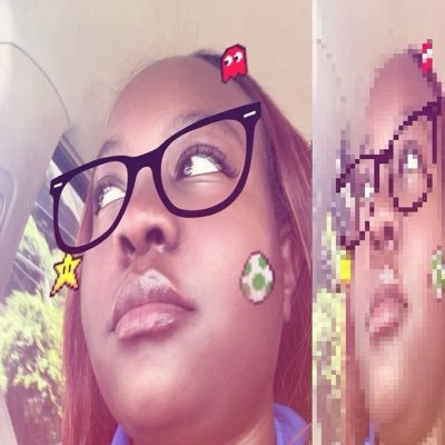 WildgardenerHQ's profile picture
