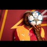 wesley sneijder 💛❤️'s profile picture