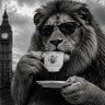 Darren Mahoney Fox's profile picture