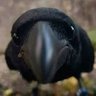Фото профиля Vinícius