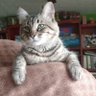 Фото профиля Erick