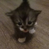 Profilbild von jay