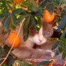 Marti's profile picture