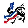 🇫🇷 Constat Francais profil fotoğrafı