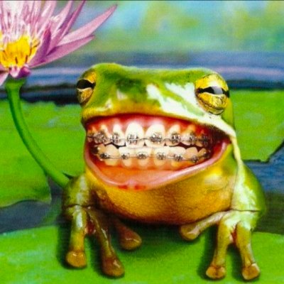 🇧🇷 BOB꩜ 土 QSMP2 .ᐟ's profile picture