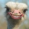Profilbild von MEs