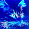 Ira's profile picture
