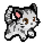 mia's profile picture
