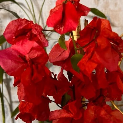 baran_engineer's profile picture