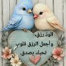 Фото профиля نيتي صافيه