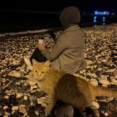 Arzu Acar's profile picture