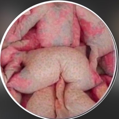 MGdamse's profile picture