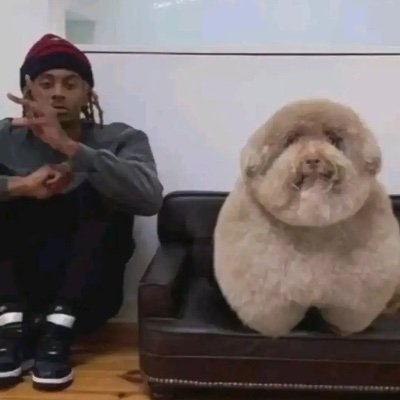 W_Fights1's profile picture