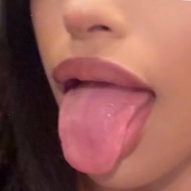 sexceegds's profile picture
