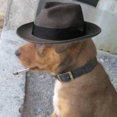 cerimeo lavando taper en tanga's profile picture