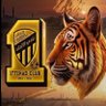 ملكيّة اتحادية نخبوية عالمية 👑🖤💛 的头像