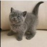 keinny🐥🐻 profil fotoğrafı
