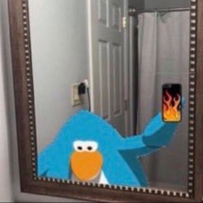 matheus schwarz's profile picture