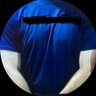 UhohitsRenaudV4 profil fotoğrafı