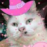 bbeeaamm 的头像