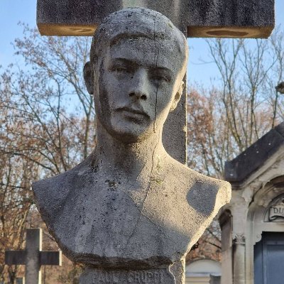 stefdesvosges's profile picture