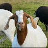 JAR's profile picture