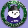 Viking Ahmad's profile picture