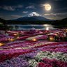 Earth Paradise 的头像