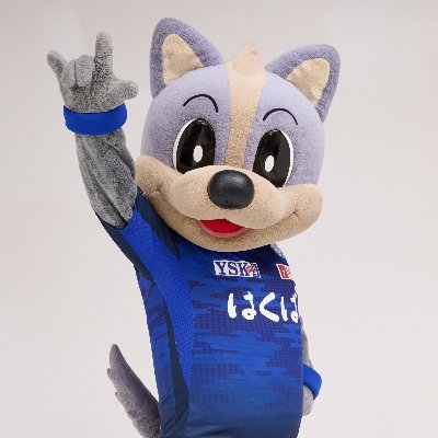vfk_vent_kun's profile picture