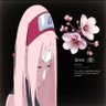 卡密's profile picture