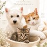 おいらは【おと】 profil fotoğrafı