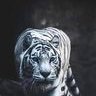 🎌猫派🎌愛国日本🎌🌸's profile picture