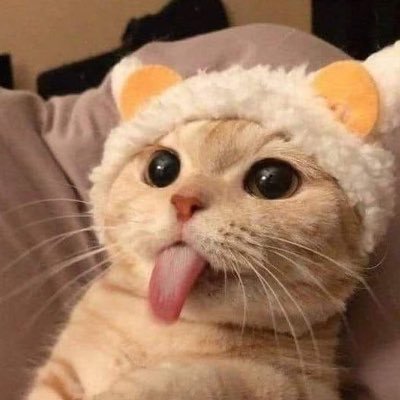 🍌's profile picture