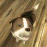 Jtwolf profil fotoğrafı