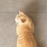 Ruen profil fotoğrafı