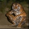 sebek's profile picture