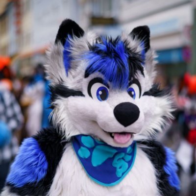 Shilo_husky's profile picture