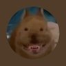 Profilbild von Tiko