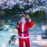 Lưu Văn Quang profil fotoğrafı