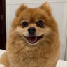 Lucy In La La Land's profile picture